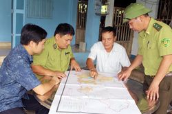 Đại Từ: Diện tích rừng trồng mới vượt kế hoạch đề ra