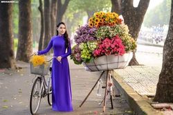 Cuộc sống xã hội giao hoán