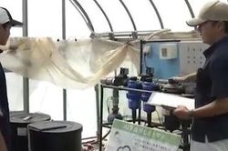 Khơi dậy tình yêu với nghề nông