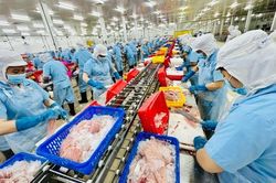Xuất khẩu thủy sản Việt Nam sang Mỹ tăng 80% sau 10 năm