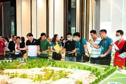 Bộ trưởng Xây dựng: Thị trường bất động sản ấm dần vào cuối năm