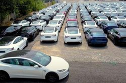 Hàng trăm xe điện Tesla phiên bản mới lần đầu lộ diện trong bãi tập kết
