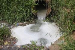 Xả thải gây ô nhiễm môi trường, hai cá nhân bị xử phạt gần 300 triệu đồng