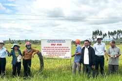 Hội thảo đánh giá sản xuất lúa ĐT100 tại xã Chư Răng