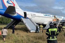 Máy bay Airbus chở 170 người gặp sự cố, hạ cánh xuống cánh đồng