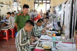 Sửa đổi, bổ sung Nghị định quy định chi tiết thi hành một số điều của Luật Thi hành án hình sự