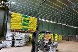Nông dân Nghệ An lo lắng khi giá phân bón rục rịch tăng trở lại