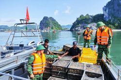 Bộ NN&PTNT đề nghị Quảng Ninh ngăn chặn, xử lý nghiêm buôn lậu gia cầm