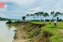 Báo động tình trạng sạt lở bờ sông Mã