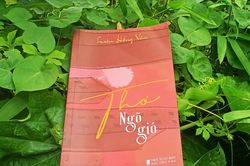 Thăm thẳm nỗi niềm trong 'Ngõ gió' của Lưu Hồng Vân