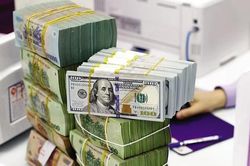 Tỷ giá USD hôm nay 13/9: Cập nhật tỷ giá USD trong nước và quốc tế