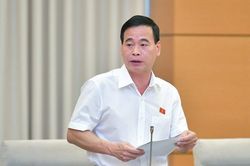 Ủy ban Tư pháp: Cán bộ cấu kết với doanh nghiệp để tham nhũng còn diễn ra nhiều