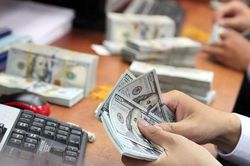 Tỷ giá biến động, doanh nghiệp nhập khẩu lo lắng