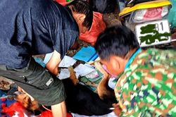 Bắc Kạn: Tăng cường các biện pháp phòng, chống bệnh dại