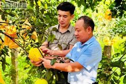 Hà Tĩnh tìm kiếm giải pháp thúc đẩy chuyển đổi số