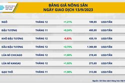 Chỉ số hàng hóa MXV-Index tăng bốn ngày liên tiếp