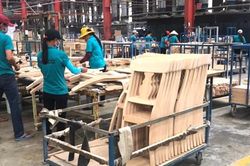 Xuất khẩu gỗ tăng trở lại từ đầu quý 3/2023, nhiều doanh nghiệp tăng ca, tuyển thêm lao động