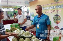 Lạng Sơn tham gia quảng bá nông đặc sản tại Hội chợ triển lãm Nông nghiệp Quốc tế