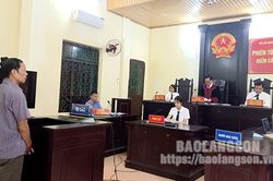 Bình Gia: Xét xử sơ thẩm 2 đối tượng phá rừng tự nhiên