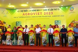 Quảng bá nông sản Ninh Bình tại Hội chợ Triển lãm nông nghiệp Quốc tế AgroViet 2023