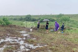 Xử lý 3 đối tượng dùng kích điện bắt giun