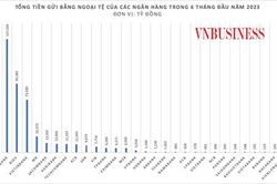 Vì sao người dân, doanh nghiệp 'quay lưng' với tiền gửi ngoại tệ?