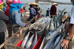 Nỗ lực tháo gỡ 'thẻ vàng'