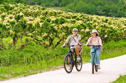 Bầu Tiên - Điểm đến mới ở Bắc Giang