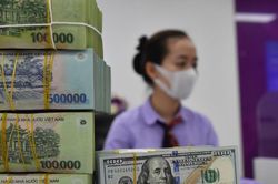 Giá USD ngân hàng vượt 24.400 đồng, tỷ giá trung tâm lên đỉnh lịch sử