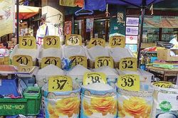 Philippines vượt Trung Quốc trở thành nhà nhập khẩu gạo hàng đầu thế giới