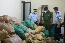 Điểm tin Chống buôn lậu ngày 15/9: Phát hiện hàng nghìn tấn chân gà, thịt bò, nầm lợn bốc mùi hôi thối