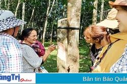 Chú trọng thực hiện chương trình giải quyết việc làm cho đồng bào dân tộc thiểu số