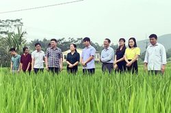 Phú Lương: Triển khai 7 mô hình trồng trọt, chăn nuôi