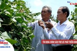 Tín dụng chính sách trợ lực phát triển kinh tế