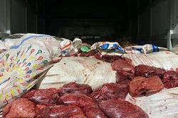 Hàng ngàn kilogram chân gà, thịt bò, nầm lợn bốc mùi hôi thối, thương lái vẫn tuồn vào nội địa theo đường tiểu ngạch