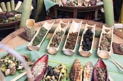 Tăng cường phòng chống ngộ độc trong đồng bào dân tộc thiểu số ở huyện miền núi Quảng Nam