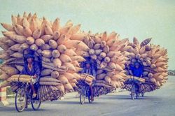 Cuộc đời sau ống kính: Làm diễn viên không khó!