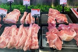 Giá heo hơi hôm nay 16/9: Giá heo hơi đi ngang, sức mua trên thị trường không cao