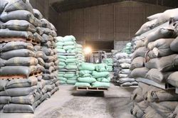 Xuất cấp hơn 309 tấn gạo hỗ trợ thực hiện công tác bảo vệ, phát triển rừng