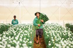 Báo lãi đi lùi, nợ phải trả của PAN Farm vượt mốc 2.600 tỷ đồng