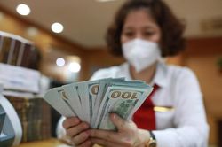 Tỷ giá USD hôm nay 16/9: Cập nhật tỷ giá USD trong nước và quốc tế