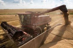 Nhiều nước áp lệnh cấm ngũ cốc Ukraine sau quyết định của EU