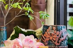 Tử vi Chủ nhật ngày 17/9/2023 của 12 cung hoàng đạo: Kim Ngưu có may mắn