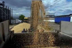 Xuất khẩu ngũ cốc Ukraine: EC dỡ hạn chế, nông dân Romania lên tiếng, 2 tàu đầu tiên của Kiev sử dụng hành lang tạm thời vào Biển Đen