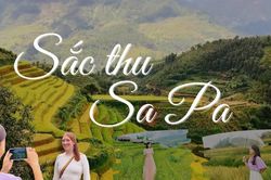 Sắc thu Sa Pa