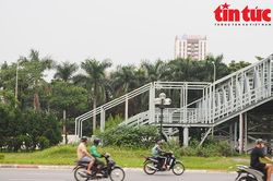 Cầu vượt bộ hành có đường lên xuống đâm thẳng vào ... bụi cây