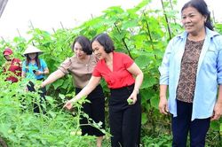 Hỗ trợ kiến thức khởi sự kinh doanh, khởi nghiệp cho hội viên phụ nữ Tuyên Quang