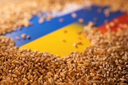 EU 'lục đục' vì lệnh cấm xuất khẩu ngũ cốc Ukraine