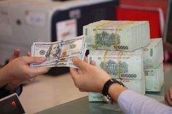 Gửi tiết kiệm ngoại tệ hay VNĐ sinh lời tốt hơn?