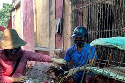 Tăng cường xử lý vận chuyển trái phép gia cầm, sản phẩm gia cầm